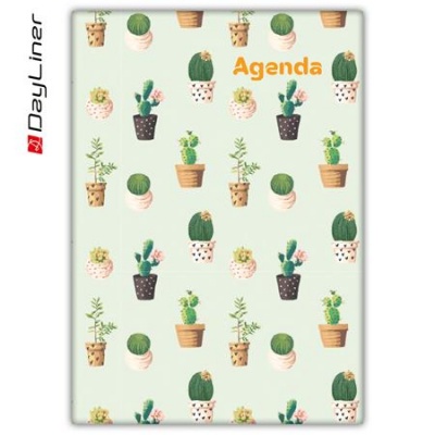 Naptár, tervező, A5, heti, DAYLINER, "Colors", Cactus