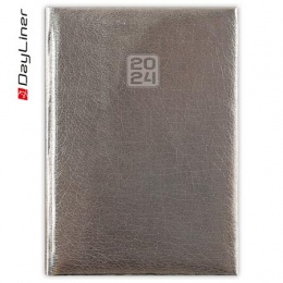 Naptár, tervező, A5, napi, DAYLINER, "Mirror", ezüst
